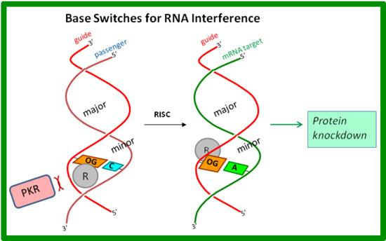 Base Switches for RNA Interference