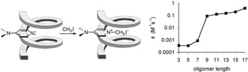 Folding-Promoted Methylation of a Helical DMAP Analog Image