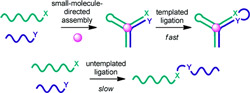 Small Molecule-Dependent split aptamer ligation image