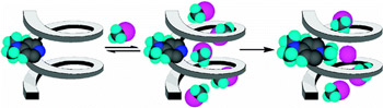 Enhanced methylation Rate within a Foldable Molecular Receptor Image
