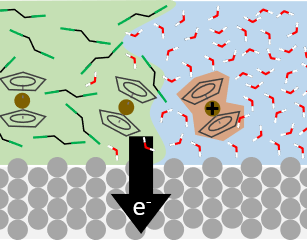 Concerted electron and phase transfer reactions for energy and separations