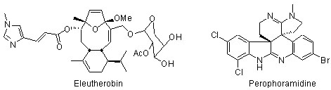 gambieric acid, psymberin