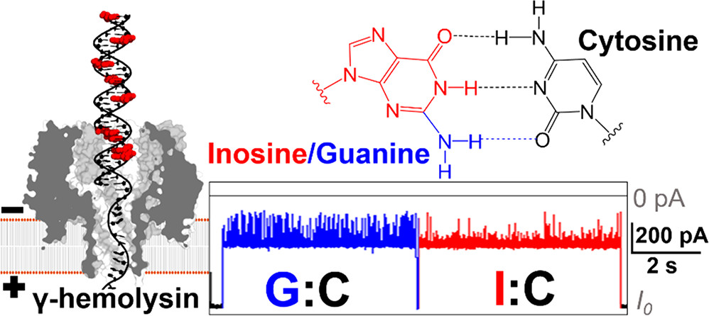 -Hemolysin Nanopore Is Sensitive to Guanine-to-Inosine Substitutions in Double-Stranded DNA at the Single-Molecule Level