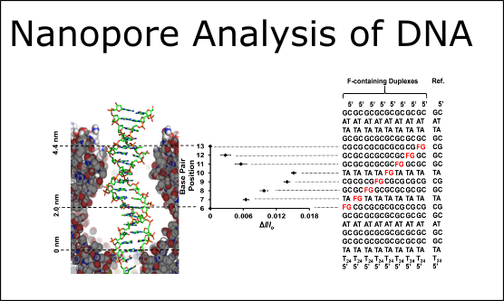 Nanopore DNA research