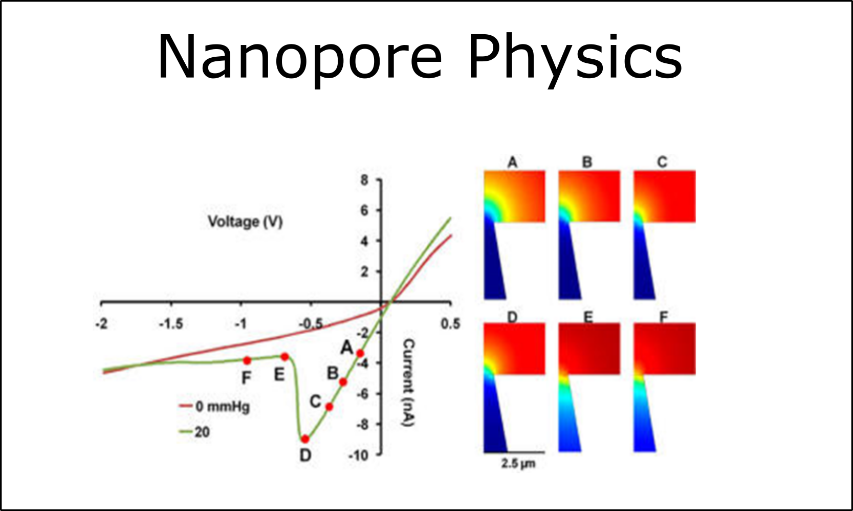 Nanopore Physics