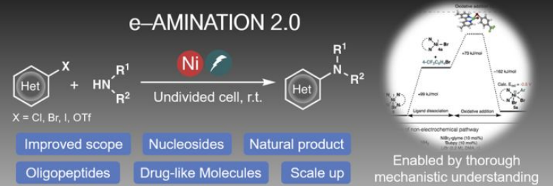 Electrochemically Driven, Ni-Catalyzed Aryl Amination: Scope, Mechanism, and Applications