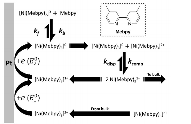 Electrochemical Reduction of [Ni(Mebpy)3]2+. Elucidation of the Redox Mechanism by Cyclic Voltammetry and Steady-State Voltammetry in Low Ionic Strength Solutions.