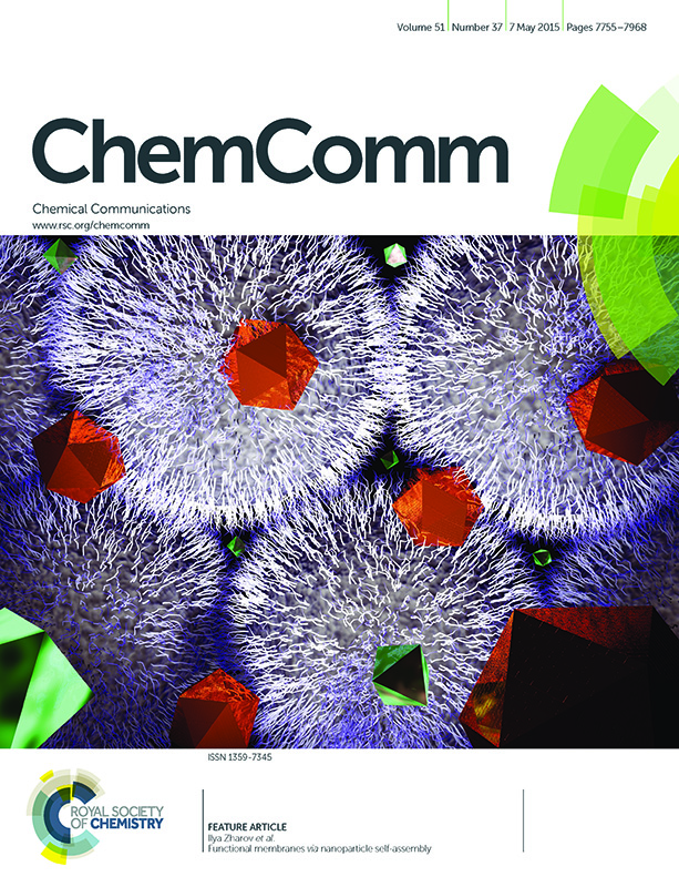 january 2015 cover of Bioconjugate Chemistry featuring work by the Zharov Group