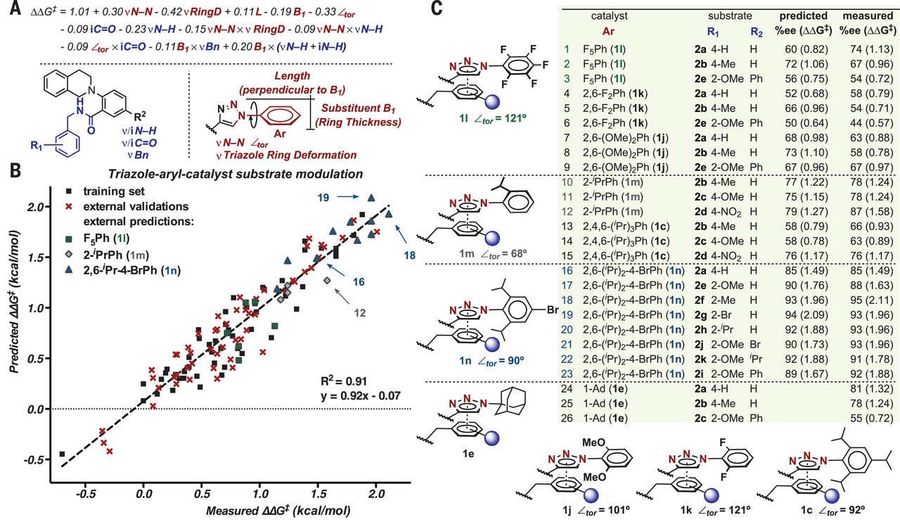 Validation of mechanistic hypotheses through directed catalyst design