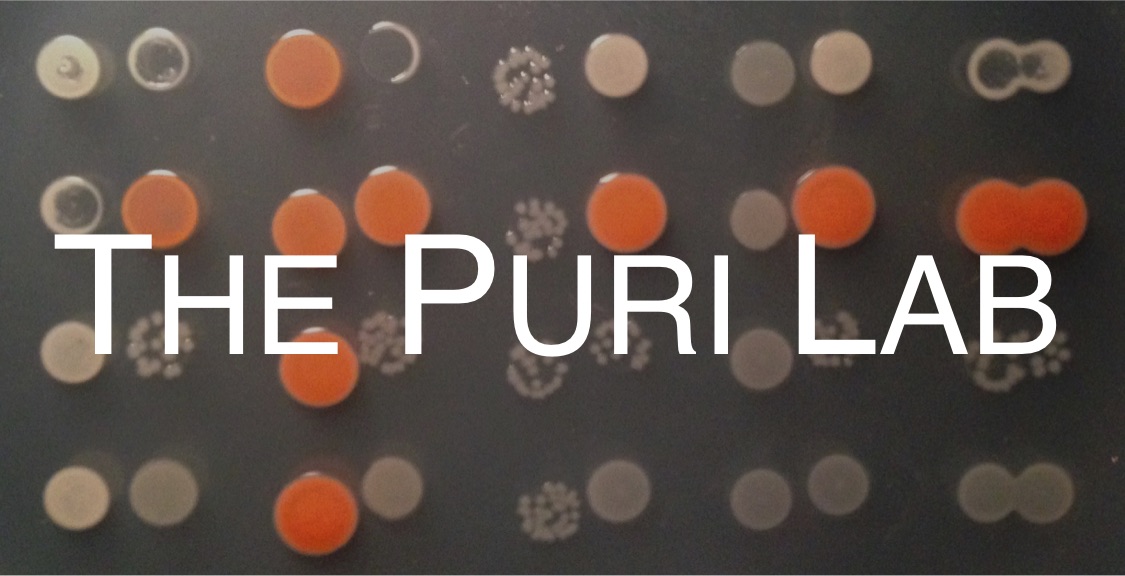 puri-lab-title