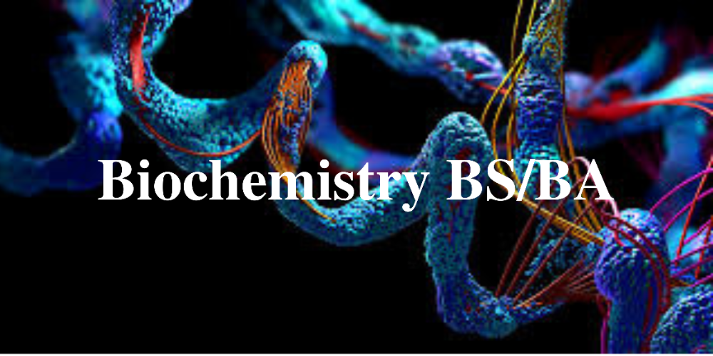 Biochemistry Banner. Click to view degree flowchart